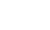 Icon Color